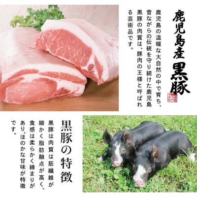 鹿児島県産 黒豚 バラスライス しゃぶしゃぶ用 計1kg (500g×2P)