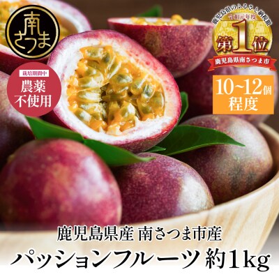 鹿児島県産 パッションフルーツ 約1kg(10～12個程度×1箱) ◆6～8月順次お届け◆