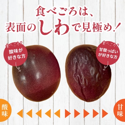 鹿児島県産 パッションフルーツ 約2kg(10～12個程度×2箱) ◆6～8月順次お届け◆