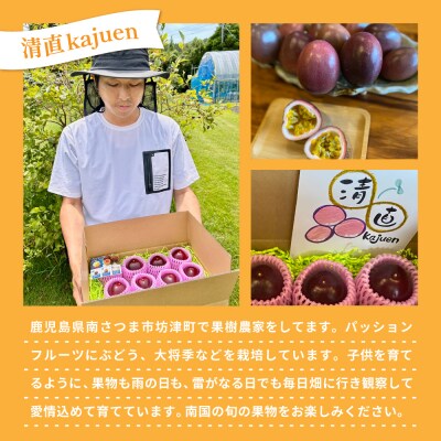 鹿児島県産 パッションフルーツ 約3kg(10～12個程度×3箱) ◆6～8月順次お届け◆