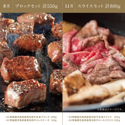 【カミチク特選定期便 全4回】A5等級鹿児島黒毛和牛定期便