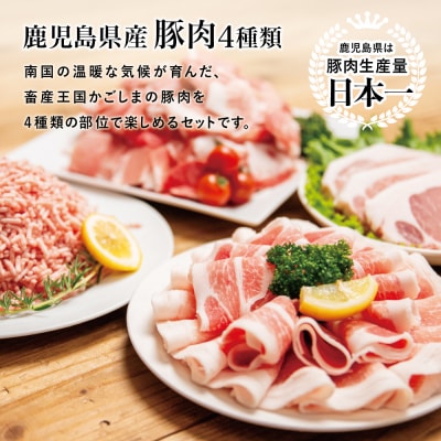 【鹿児島県産】豚肉 4種類セット 計2.1kg(ロースしゃぶ・ロースカツ・切り落とし・ミンチ)