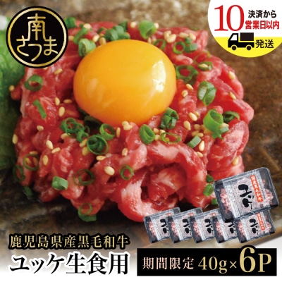 【期間・数量限定】鹿児島県産 黒毛和牛ユッケ 40g×6P タレ付 生食認定工場 カミチク