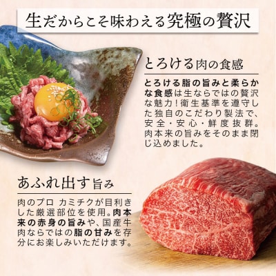 【期間限定】鹿児島県産 黒毛和牛ユッケ 40g×5P タレ付 生食認定工場 カミチク