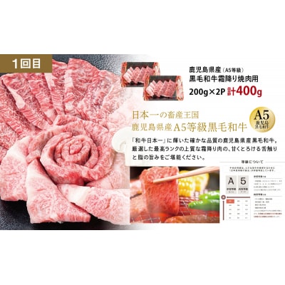 【厳選焼肉定期便】黒毛和牛・ブランド豚・牛タン 全3回コース