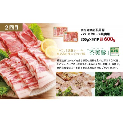 【厳選焼肉定期便】黒毛和牛・ブランド豚・牛タン 全3回コース