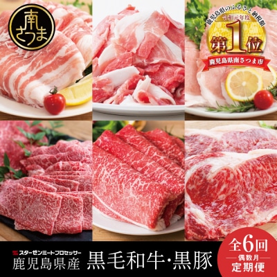 【定期便 全6回】スターゼン厳選お肉の定期便(鹿児島県産黒毛和牛・黒豚)