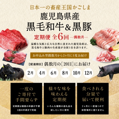 【定期便 全6回】スターゼン厳選お肉の定期便(鹿児島県産黒毛和牛・黒豚)