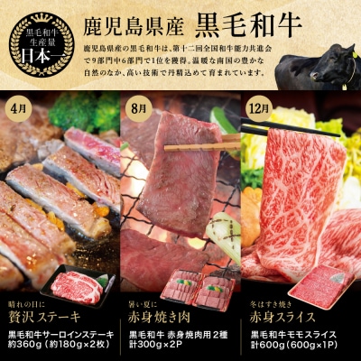 【定期便 全6回】スターゼン厳選お肉の定期便(鹿児島県産黒毛和牛・黒豚)