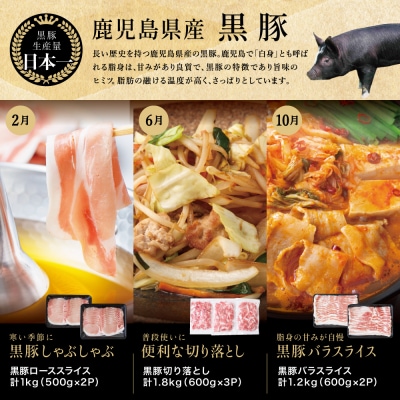 【定期便 全6回】スターゼン厳選お肉の定期便(鹿児島県産黒毛和牛・黒豚)