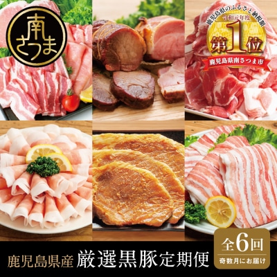【定期便】畜産王国鹿児島の厳選黒豚定期便(全6回)