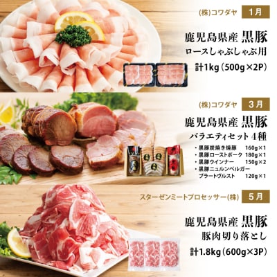 【定期便】畜産王国鹿児島の厳選黒豚定期便(全6回)