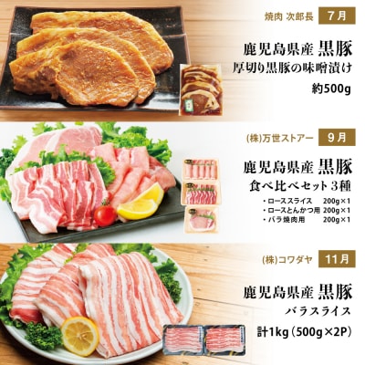 【定期便】畜産王国鹿児島の厳選黒豚定期便(全6回)