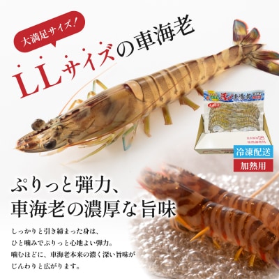 【鹿児島県産】冷凍 車海老 LLサイズ 300g (加熱用)