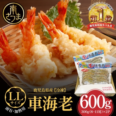 【鹿児島県産】冷凍 車海老 LLサイズ 600g (加熱用)