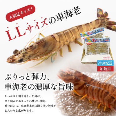 【鹿児島県産】冷凍 車海老 LLサイズ 600g (加熱用)