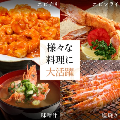 【鹿児島県産】冷凍 車海老 LLサイズ 600g (加熱用)