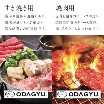 【年内お届け】A4等級鹿児島県産黒毛和牛「小田牛」 カタロースすき焼用&焼肉用 計800g