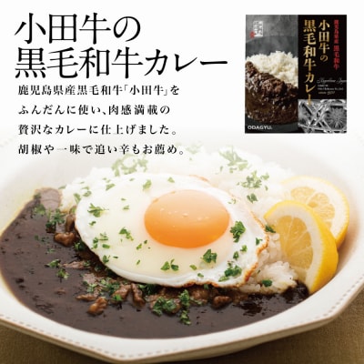 【訳あり】鹿児島県産黒毛和牛「小田牛」 黒毛和牛カレー 5食(200g×5) レトルト 常温保存