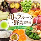 【定期便】南国の恵み 旬のフルーツ・野菜定期便(全12回)