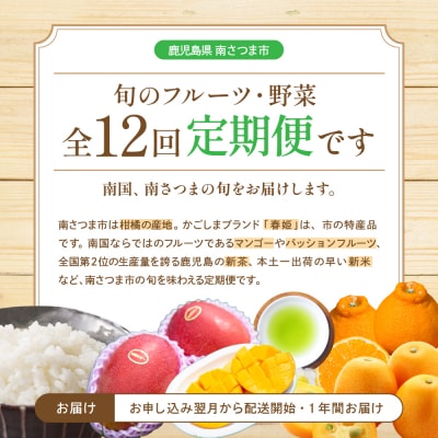 【定期便】南国の恵み 旬のフルーツ・野菜定期便(全12回)