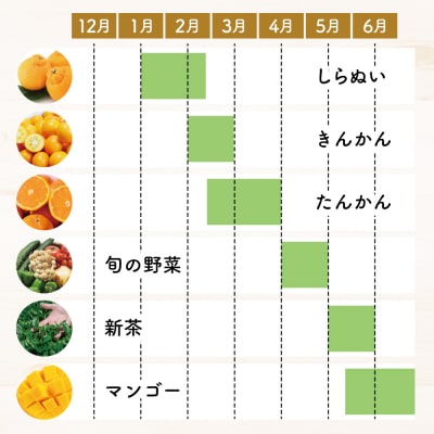 【定期便 全12回】旬のフルーツ・野菜定期便 (12種類) 鹿児島県産