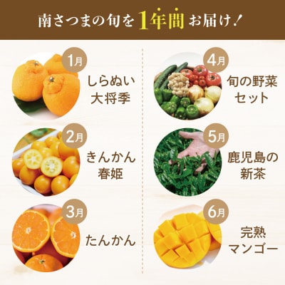 【定期便】南国の恵み 旬のフルーツ・野菜定期便(全12回)