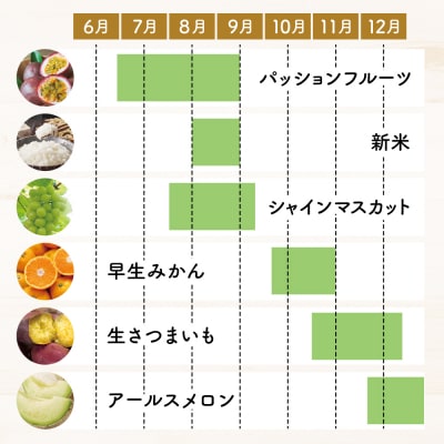 【定期便 全12回】旬のフルーツ・野菜定期便 (12種類) 鹿児島県産
