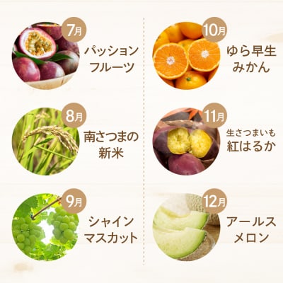 【定期便】南国の恵み 旬のフルーツ・野菜定期便(全12回)