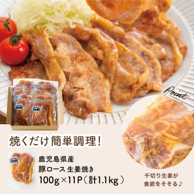 【訳あり】 鹿児島県産豚ロース 生姜焼き 100g×11P(計1.1kg)