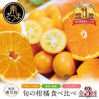 南国の恵み 旬の柑橘食べ比べ(全3回お届け)