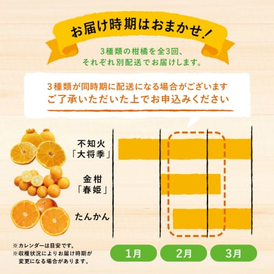 南国の恵み 旬の柑橘食べ比べ(全3回お届け)