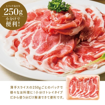 【鹿児島県産】 豚肩ロース しゃぶしゃぶ用 1.5kg カミチク 南さつま市