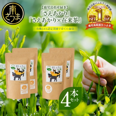 【鹿児島県産緑茶】ましょうのお茶「さえあかり」「さえあかり×在来茶」4本セット 計200g