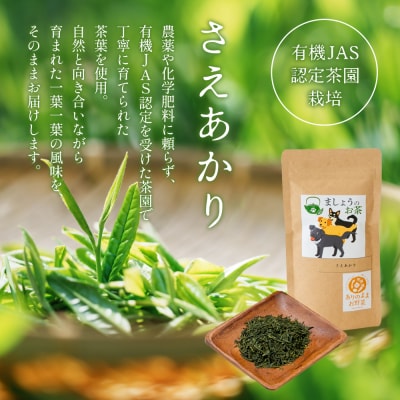 【鹿児島県産緑茶】ましょうのお茶「さえあかり」「さえあかり×在来茶」4本セット 計200g