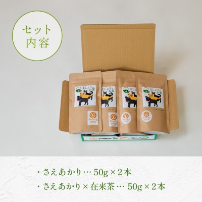【鹿児島県産緑茶】ましょうのお茶「さえあかり」「さえあかり×在来茶」4本セット 計200g