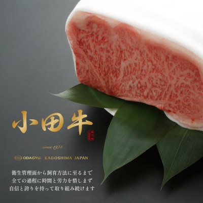 【プレミアムブランド】鹿児島県産黒毛和牛「小田牛」 混ぜご飯の素 2個(160g×2)