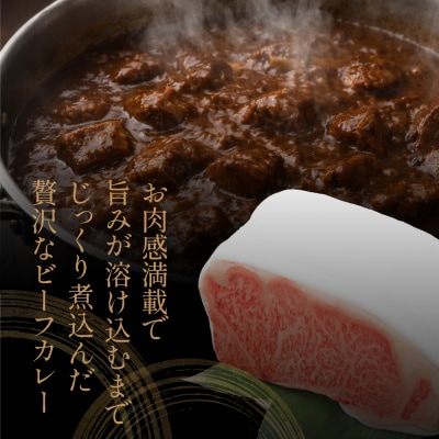 【プレミアムブランド】鹿児島県産黒毛和牛「小田牛」ビーフカレー 2個(180g×2)