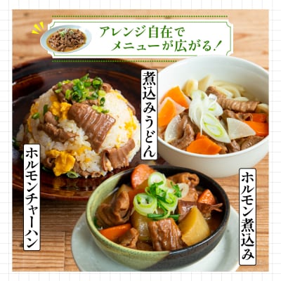 【父の日ギフト】マイスター山野井 豚ホルモン味噌煮込み 500g×3P 計1.5kg もつ煮込み