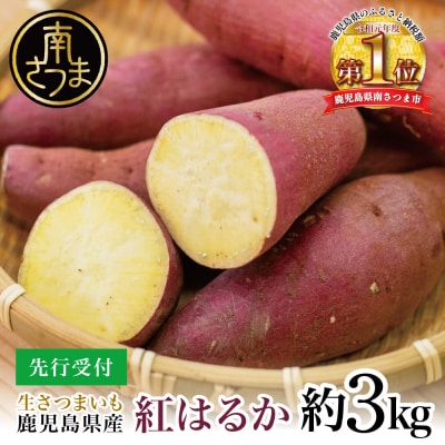 【鹿児島県産】生さつまいも「紅はるか」約3kg ★11月以降順次出荷★ 冬季限定 JA南さつま