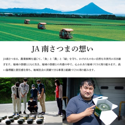 【鹿児島県産】生さつまいも「紅はるか」約3kg ★11月以降順次出荷★ 冬季限定 JA南さつま