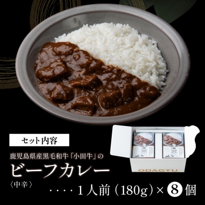 【プレミアムブランド】鹿児島県産黒毛和牛「小田牛」ビーフカレー 8個(180g×8)