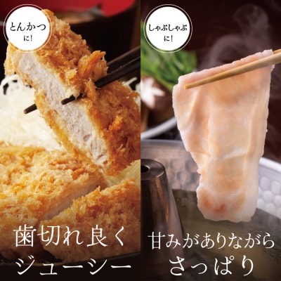 【お中元ギフト】ブランド黒豚 かごしま黒豚 2種 計600g ローススライス&ロースとんかつ用
