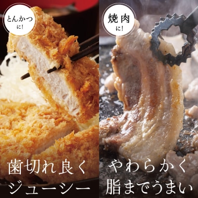 【お中元ギフト】ブランド黒豚 かごしま黒豚 2種 計600g バラ焼肉用&ロースとんかつ用