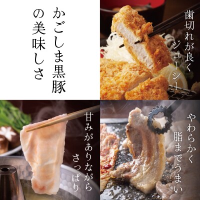 【お中元ギフト】【ブランド黒豚】かごしま黒豚 3種類 計1kg バラエティセット