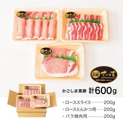 【お中元ギフト】【ブランド黒豚】かごしま黒豚 3種類 計1kg バラエティセット