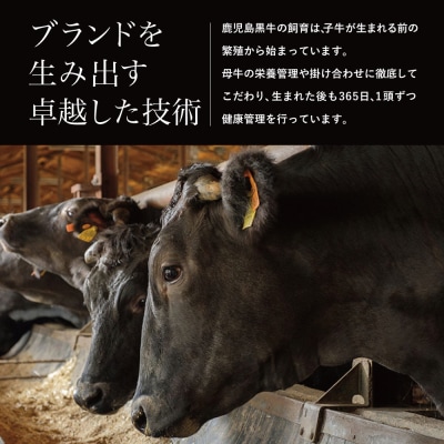 【お中元ギフト】【鹿児島黒牛】5等級 サーロインステーキ2枚 計400g JA食肉かごしま