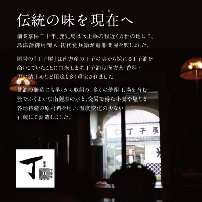 【お中元ギフト】【特別販売店限定】焼酎「燃島」900ml 2本&調味料2本セット