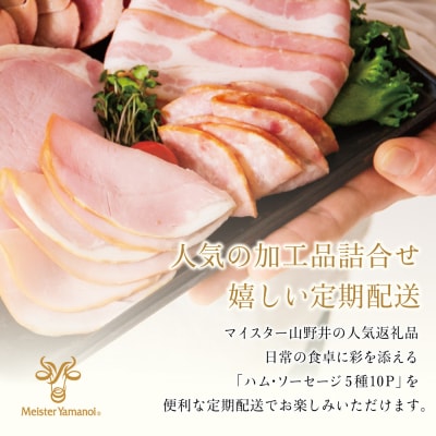【定期便3回:2ヶ月に1度】マイスター山野井 ハム・ソーセージ 5種(計10P)定期配送 冷蔵