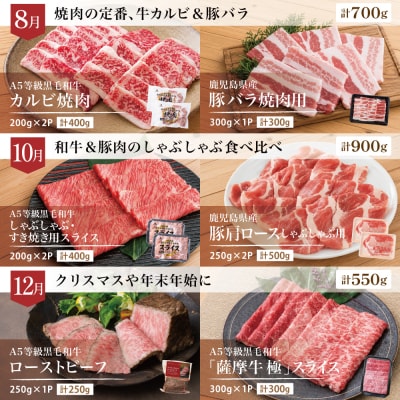 【定期便 全6回】情熱牧場 鹿児島県産お肉の定期便 シーズンセレクト
